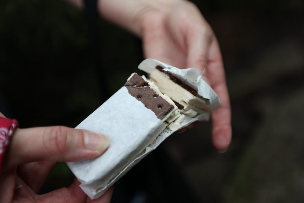 freeze-dried ice cream sandwich