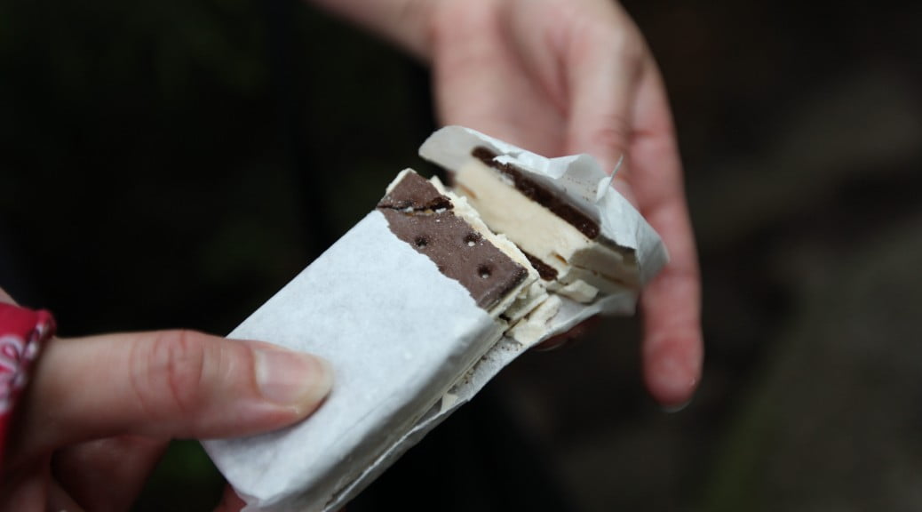 freeze-dried ice cream sandwich