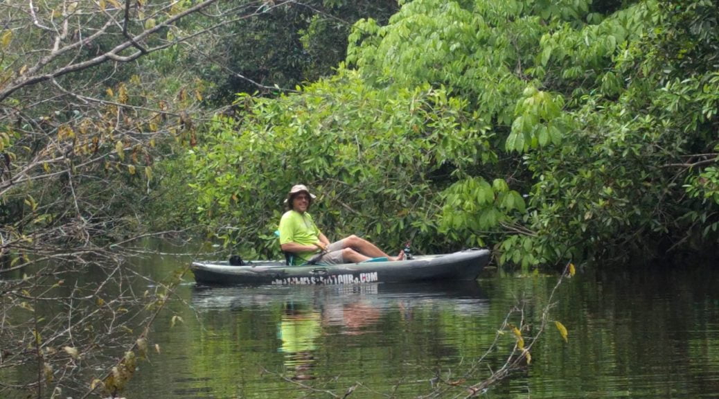 Bungle in the Jungle